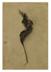 Vessels_17