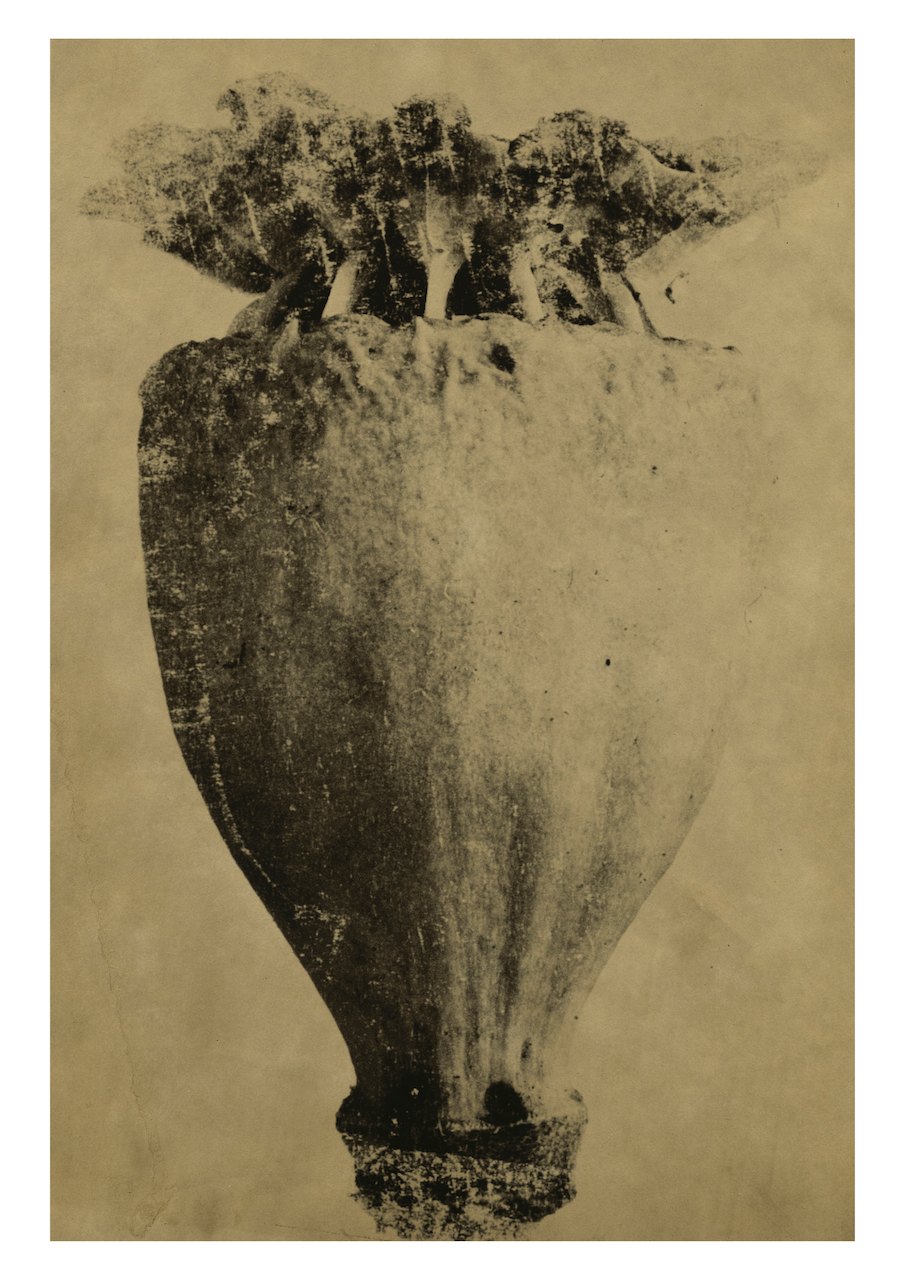 Loading Image
