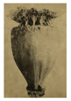 Vessels_18