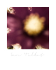 Mythos_001