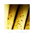 Mythos_019
