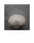 Mythos_045