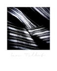 Mythos_071