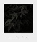 Mythos_098
