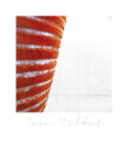 Mythos_107