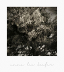 Mythos_168
