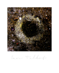 Mythos_181