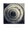 Mythos_221