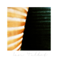 Mythos_243