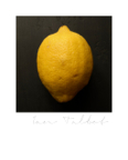 Mythos_255