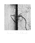 Mythos_293