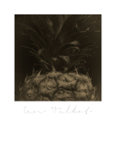 Mythos_313