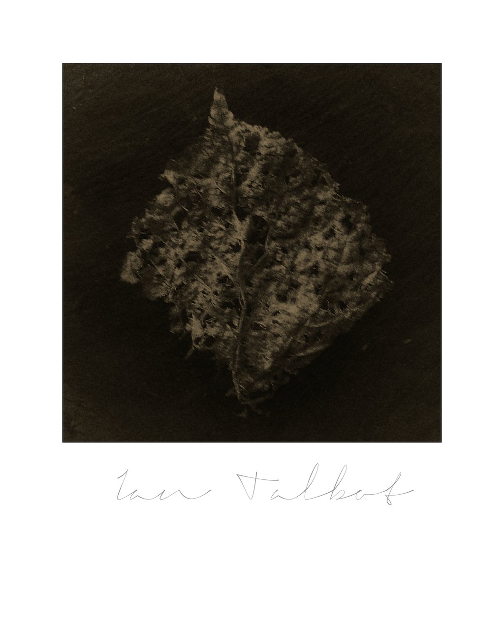 Loading Image
