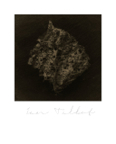 Mythos_325
