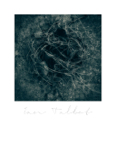 Mythos_371