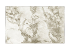 Ferns_diptych_02