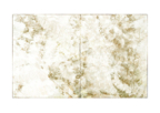 Ferns_polyptych_04