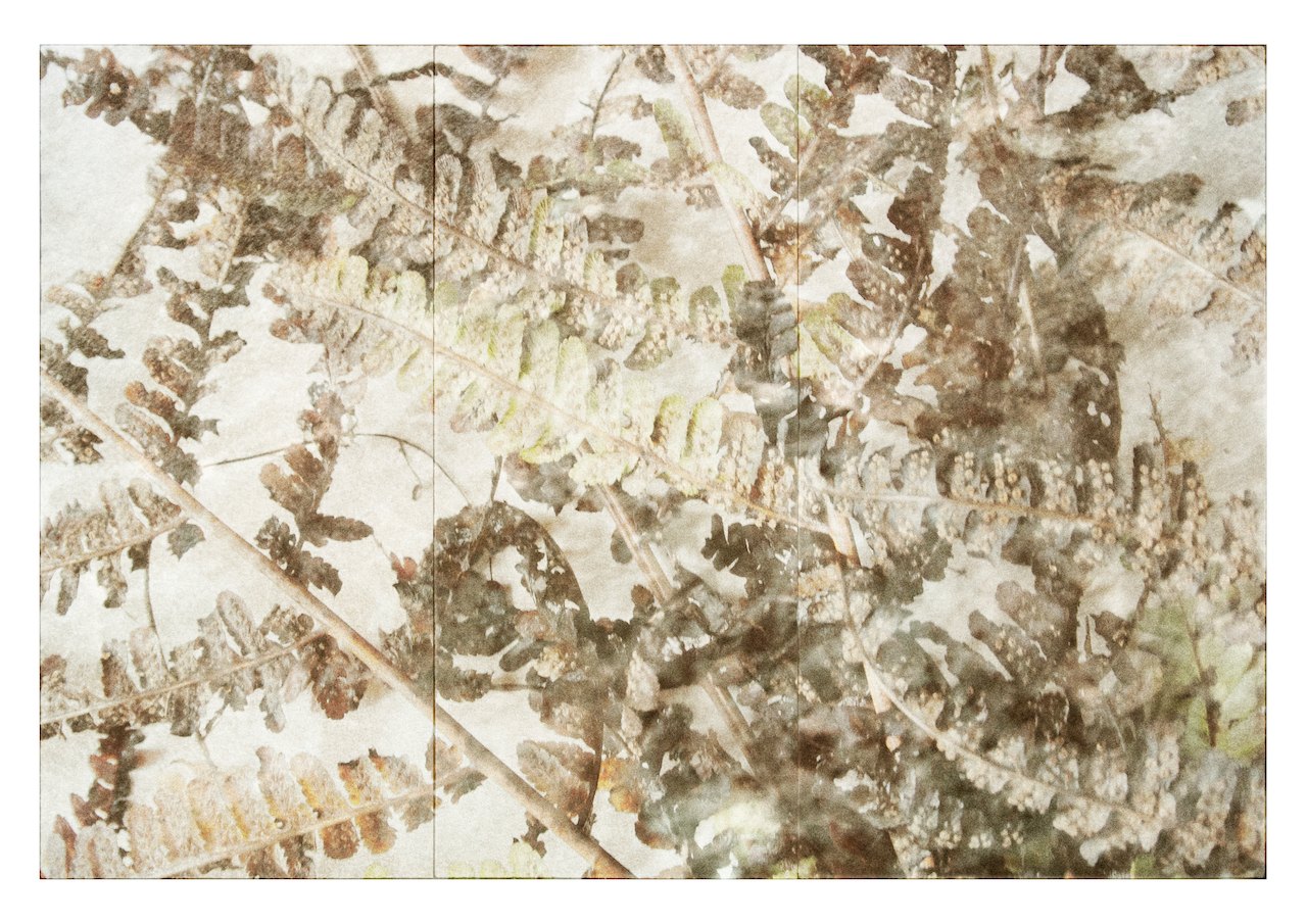 Loading Image