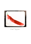 Good_eats_05