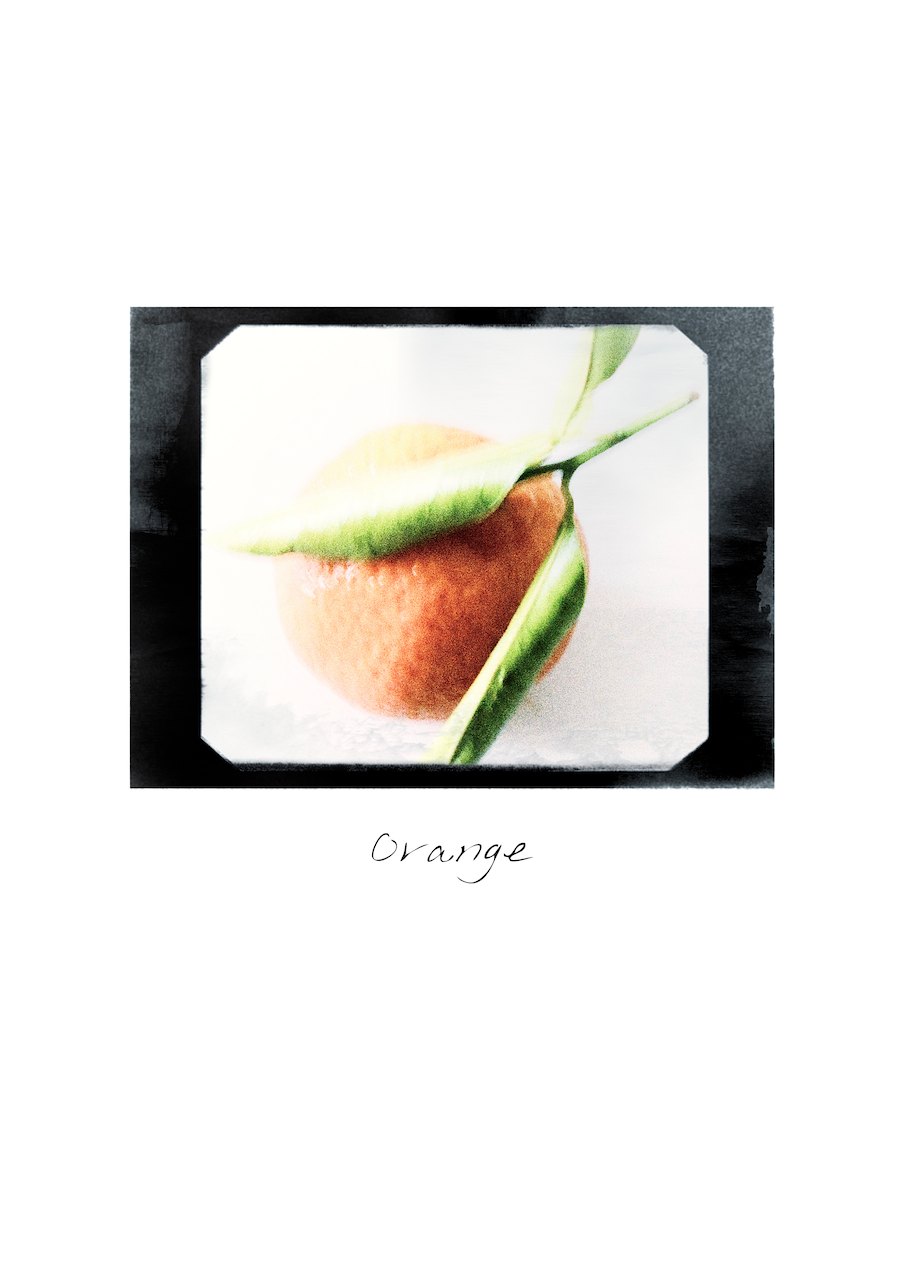 Loading Image