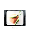 Good_eats_13