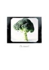 Good_eats_17