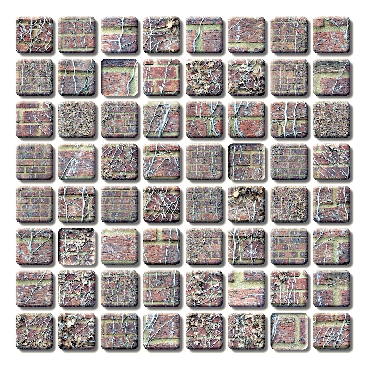 Loading Image