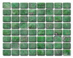 Grass_03