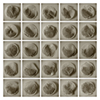 Teabags_01