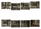 Glade_01