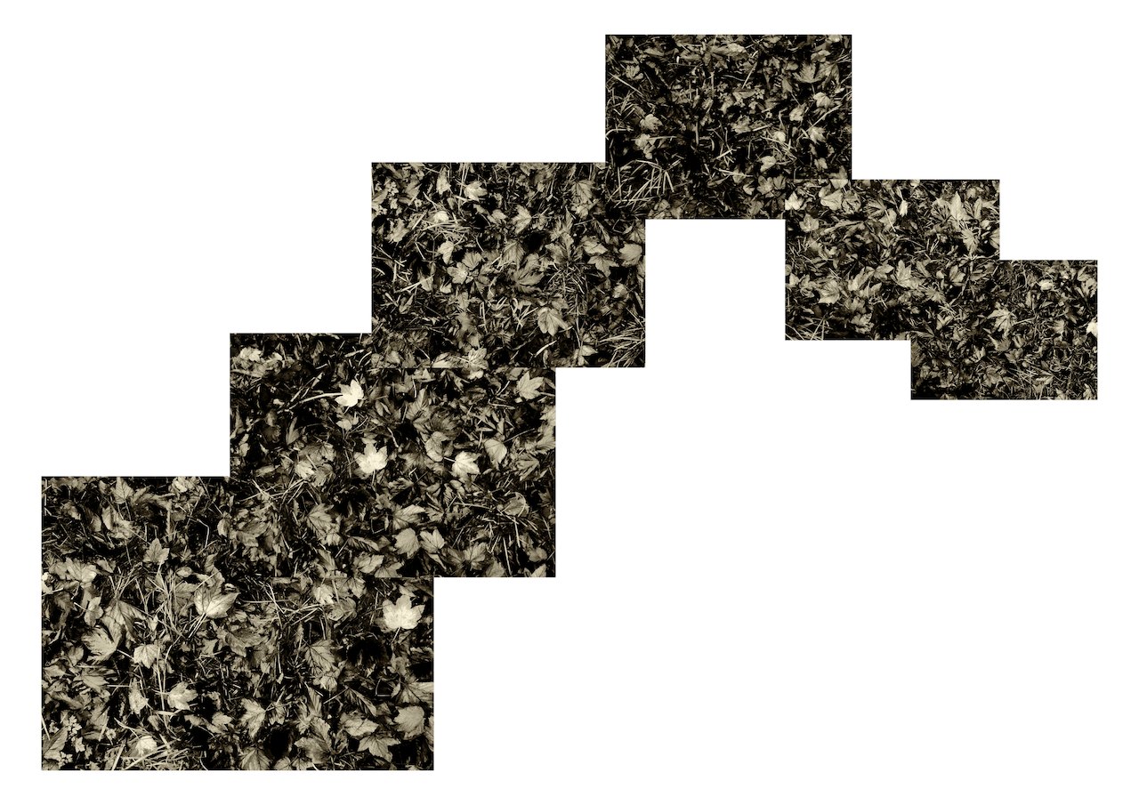 Loading Image