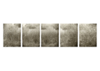 Reeds_01