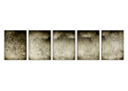 Reeds_02