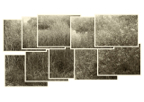 Reeds_02_01