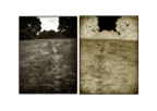 Desire_Path_01