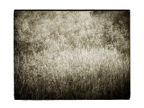 Overlay_02