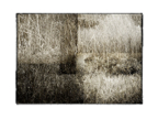 Overlay_05