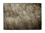 Overlays_03
