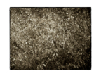 Overlays_04